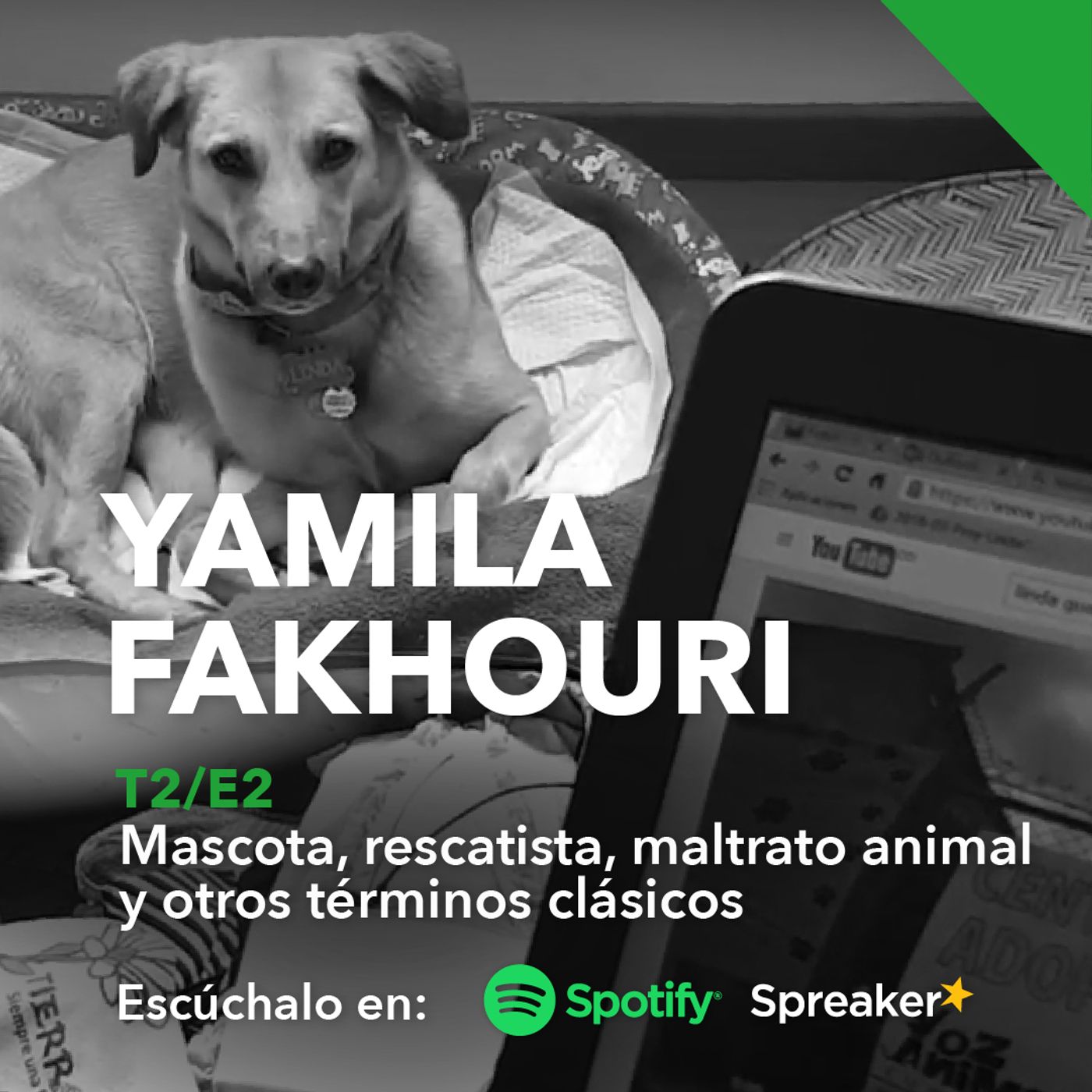 Yamila Fakhouri