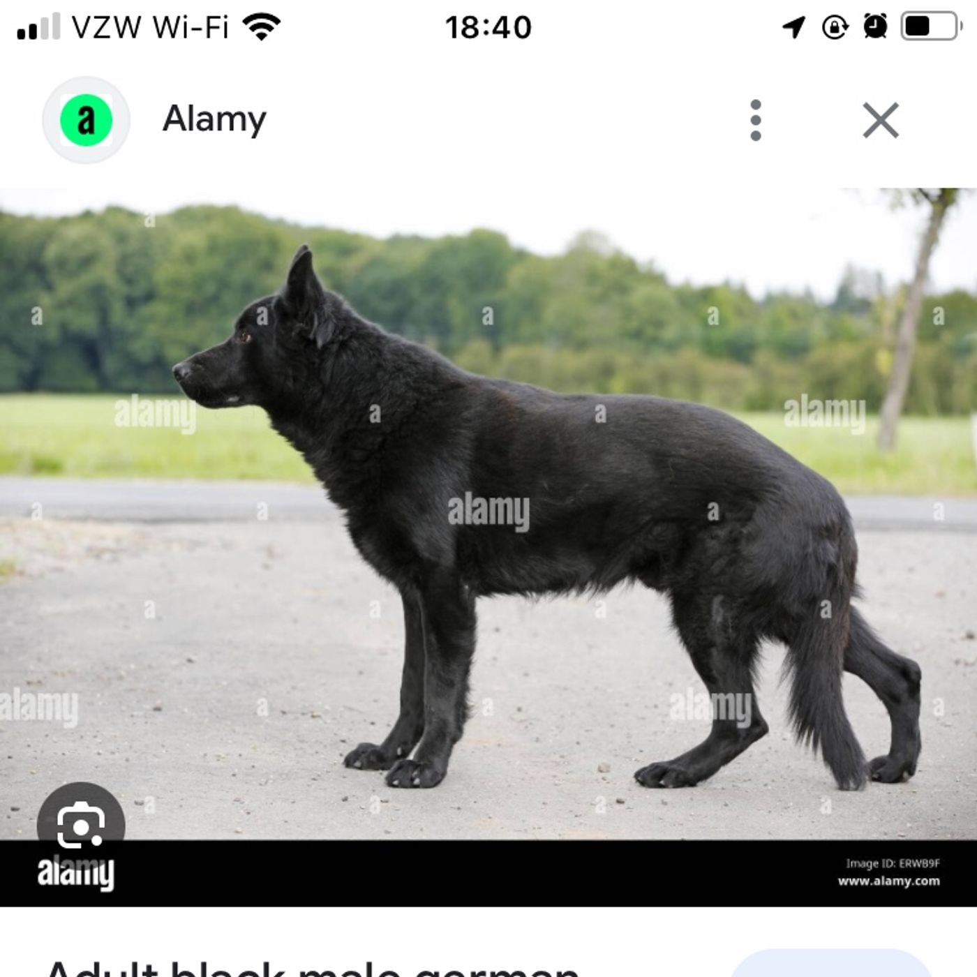 Doing some research now.