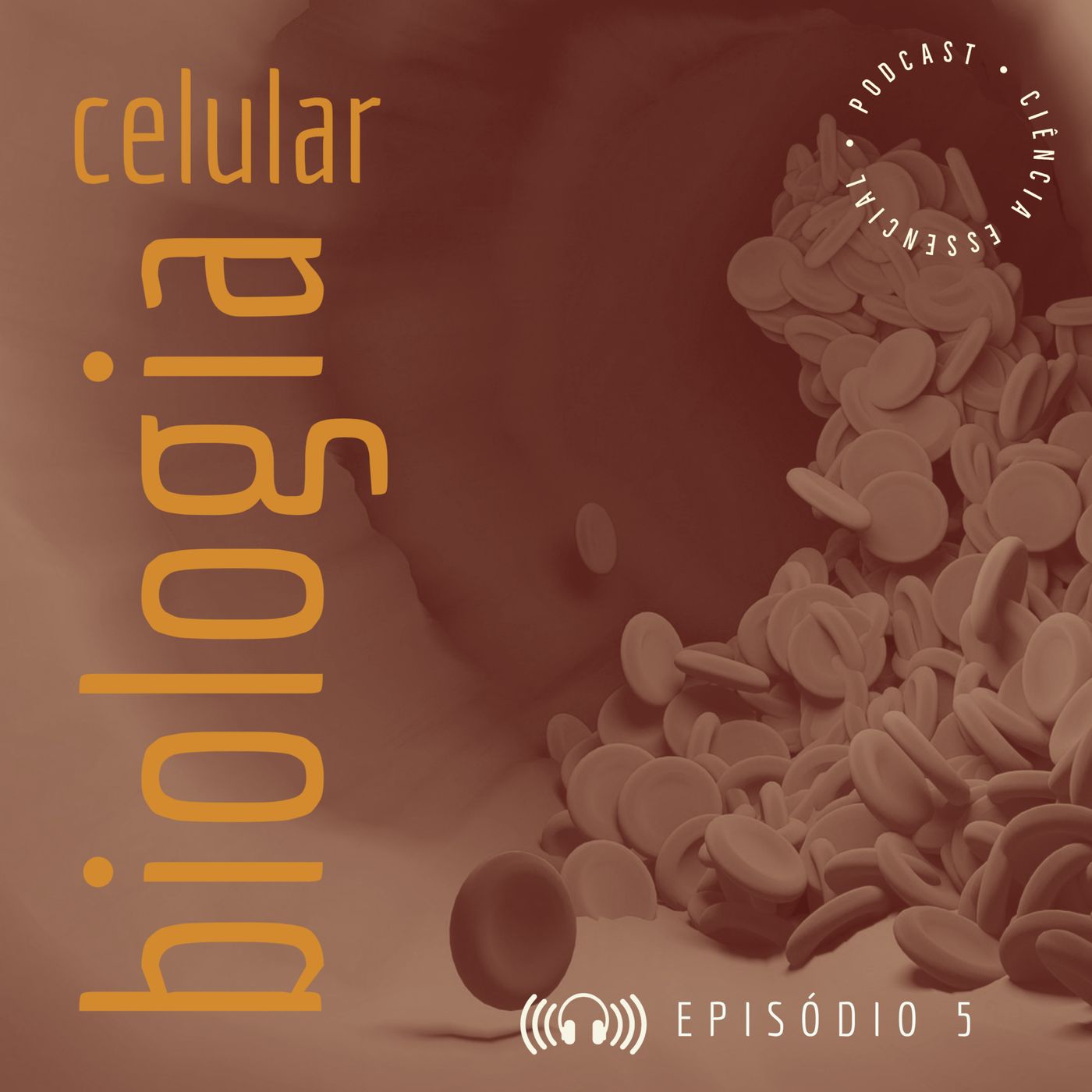 BIOLOGIA CELULAR: Divisão celular episode artwork