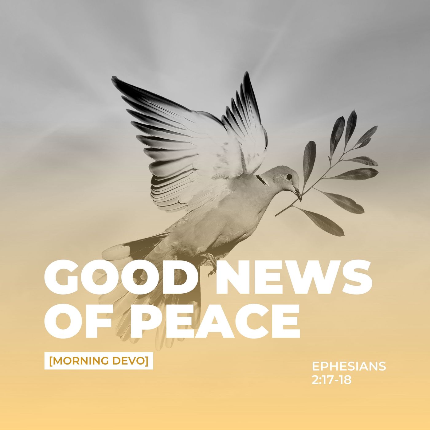 Good News of Peace [Morning Devo] episode artwork