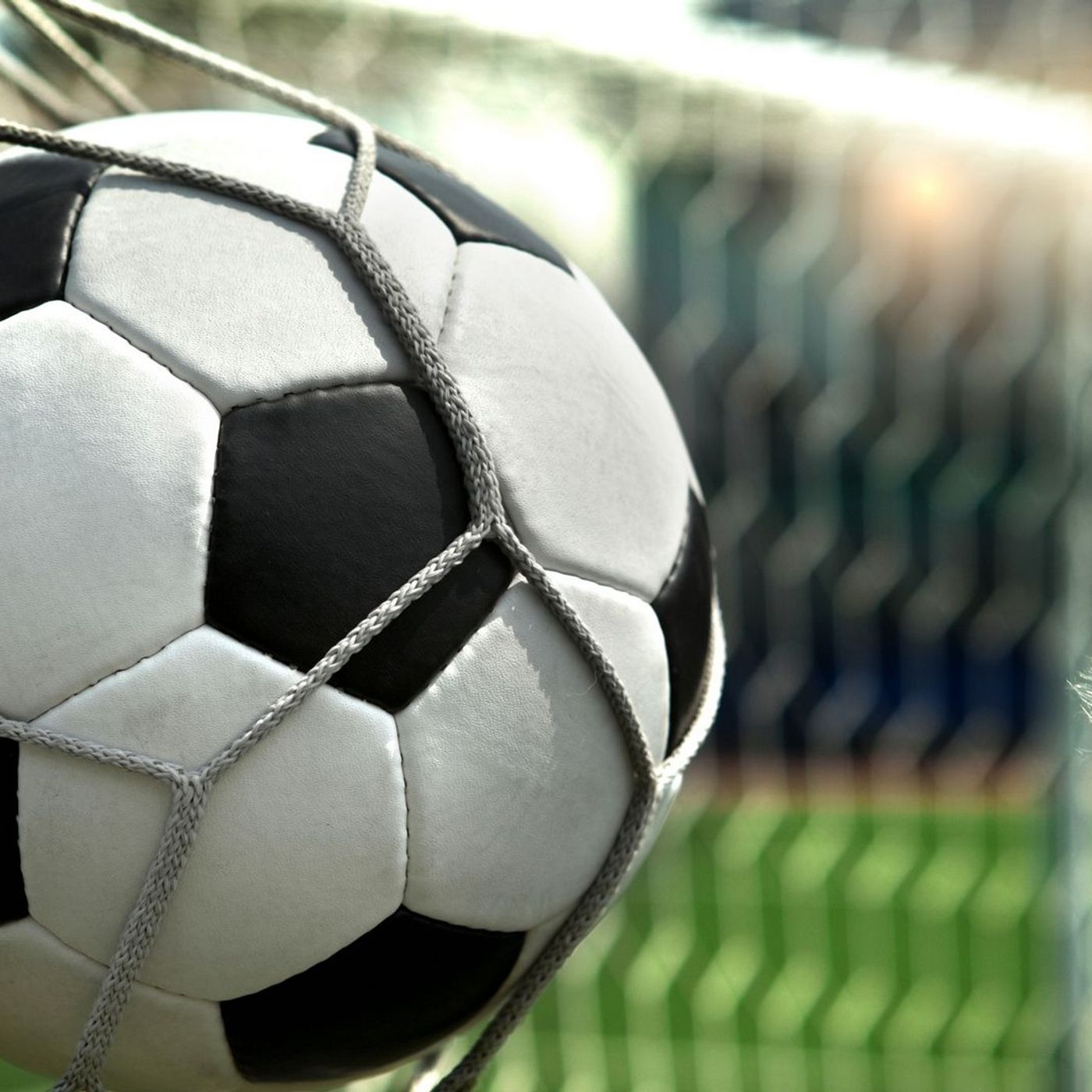 Scommesse sportive in Italia online