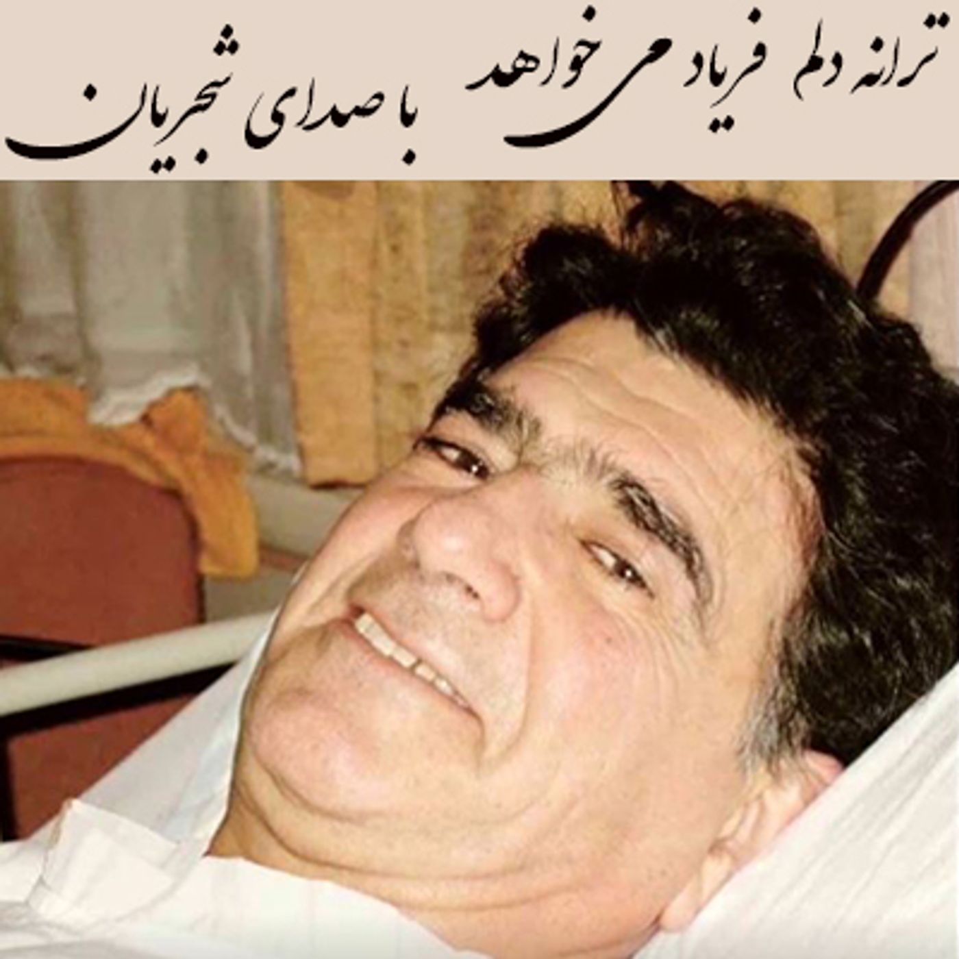 ترانه دلم فریاد میخواهد- با صدای شجریان