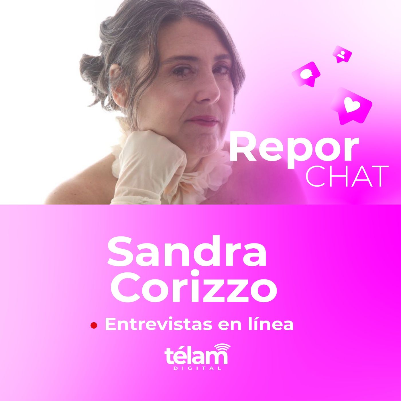 Reporchat - Entrevistas en línea