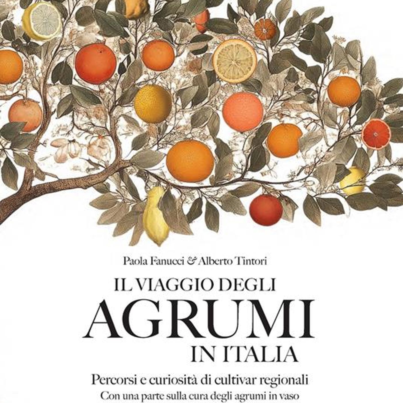 Paola Fanucci "Il viaggio degli agrumi in Italia" episode artwork