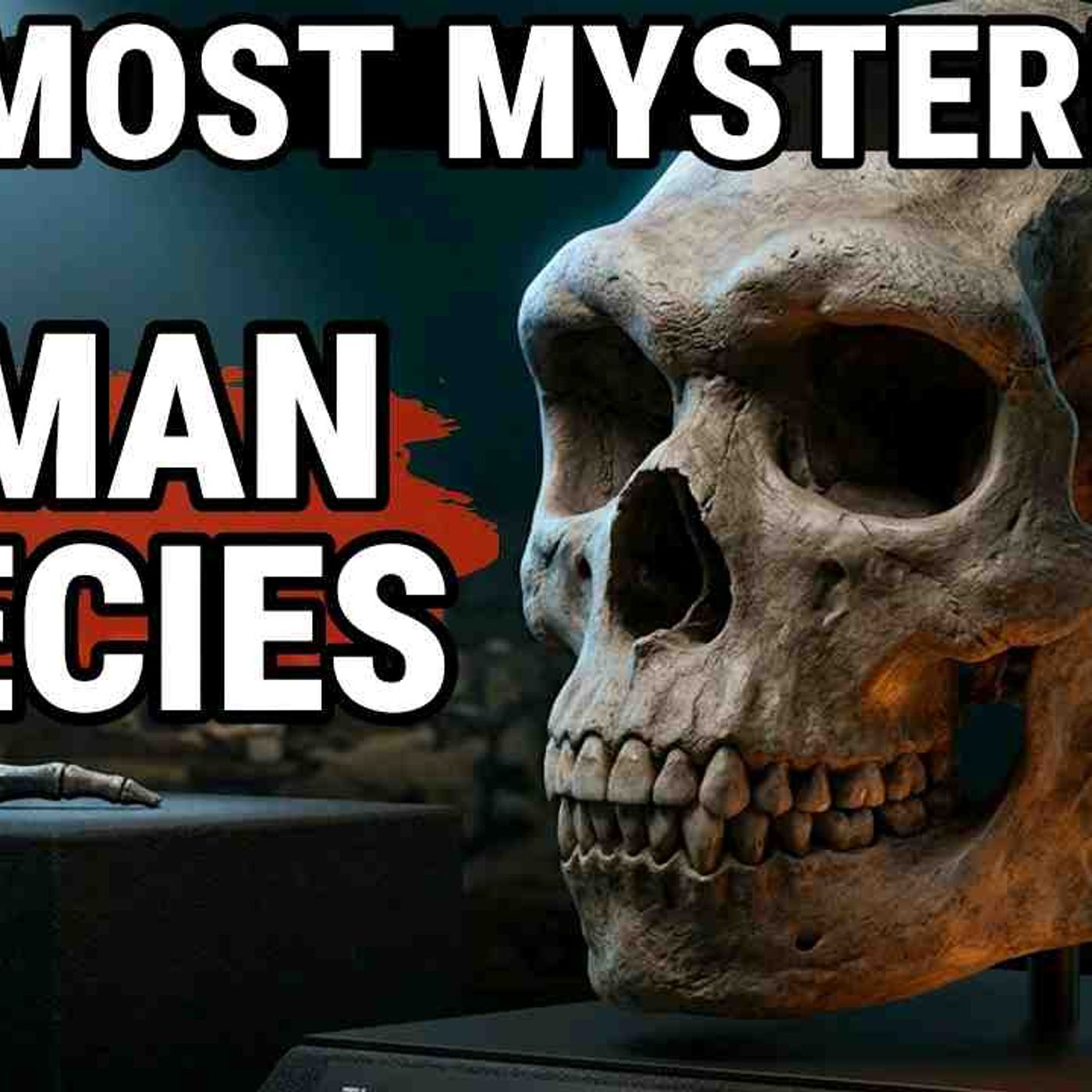 The Denisovans_ The Extinct Human Species Living Inside Billions Of People Right Now episode artwork