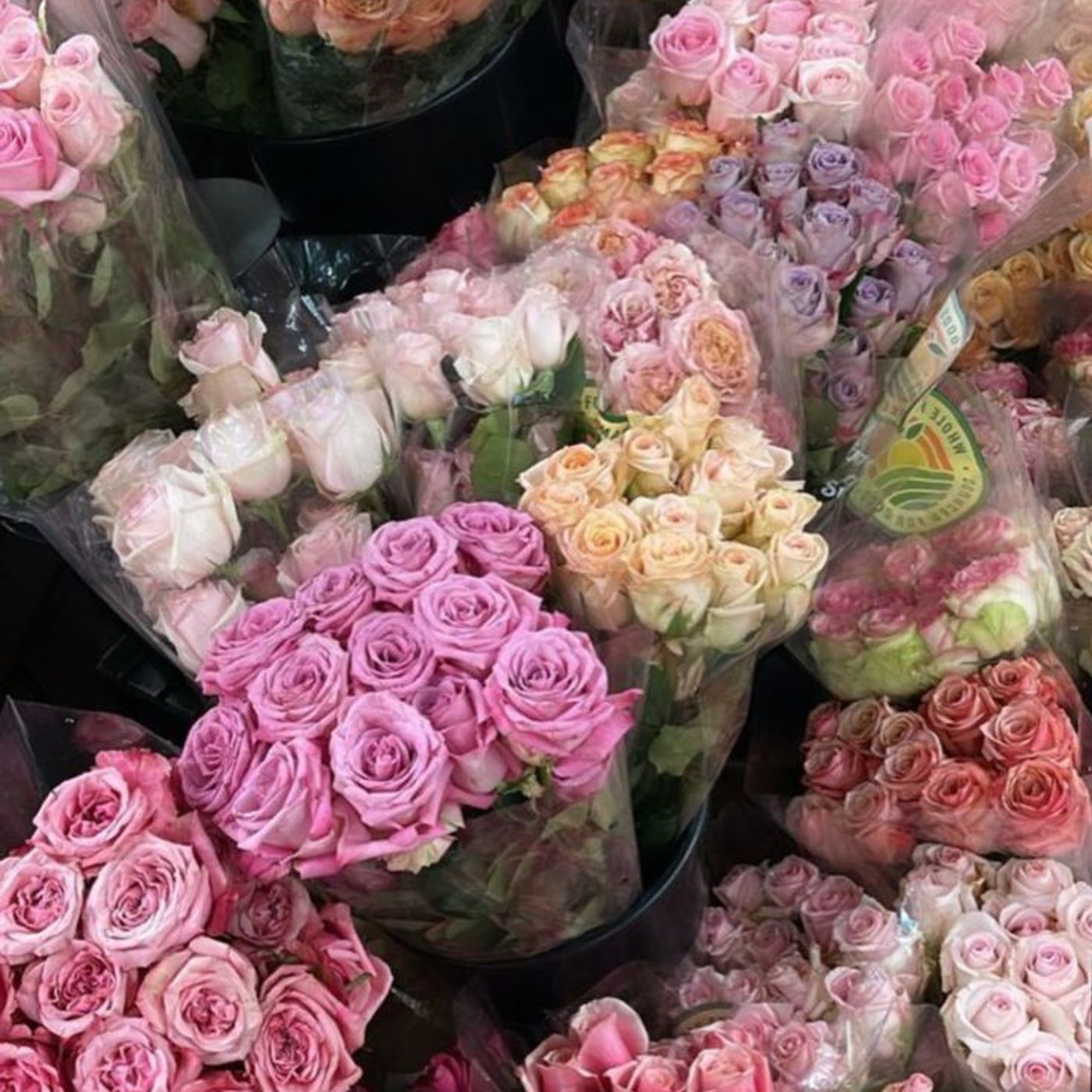 DANZANDO NEI RICORDI cover art