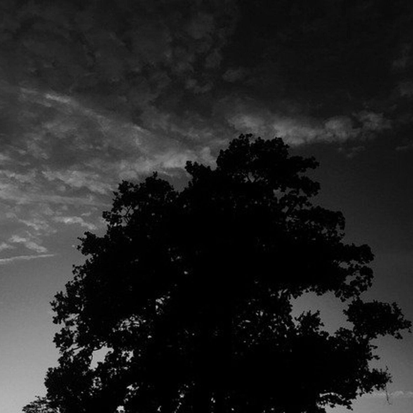 Historias de Miedo Mayo 21 2021 EL CHANGO