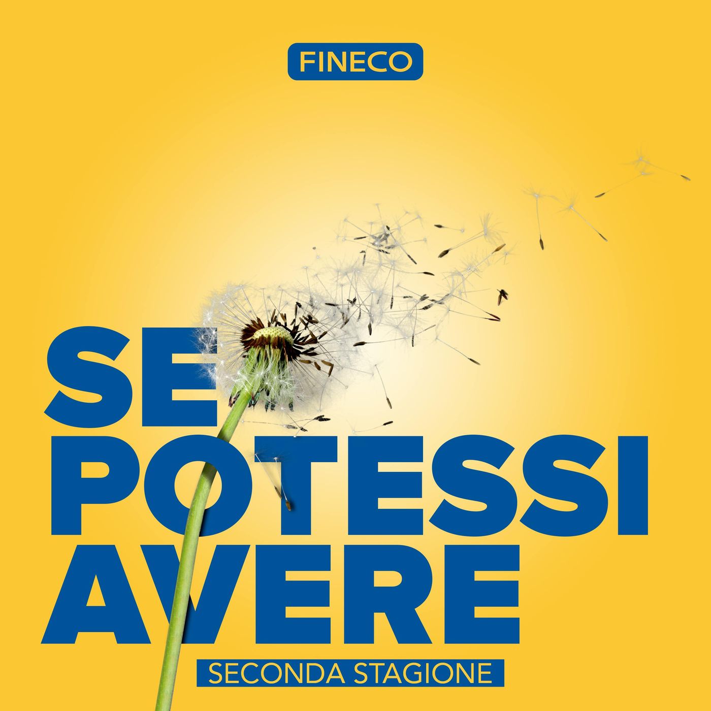 Se potessi avere