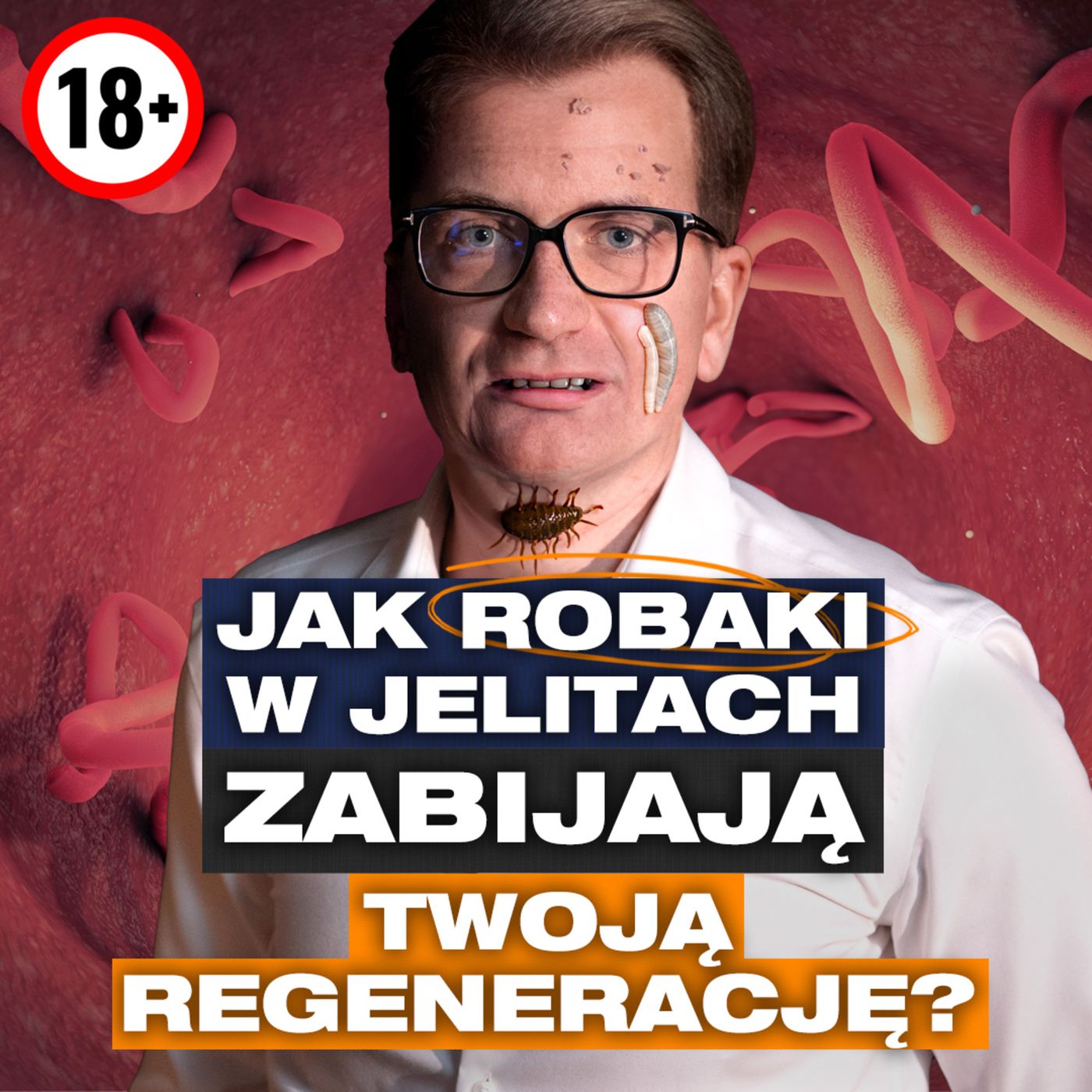 Przygody Przedsiębiorców