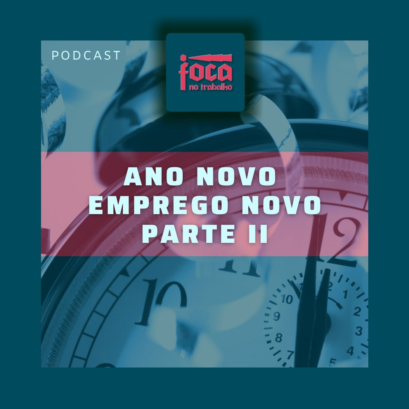 Foca no Trabalho