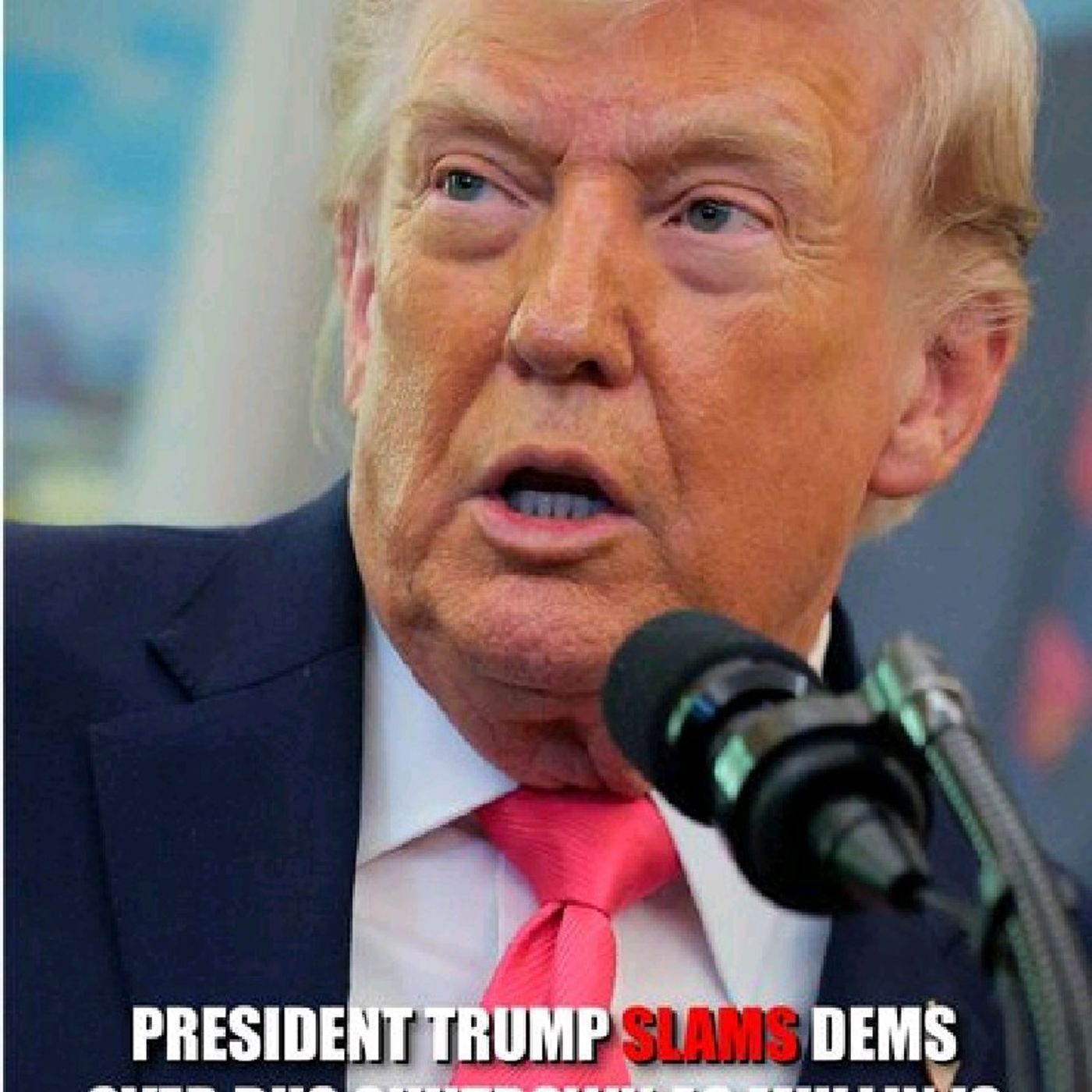 they're trying to shield illegal alien criminals — gang members. They want to protect them from being taken out of the country." -President episode artwork
