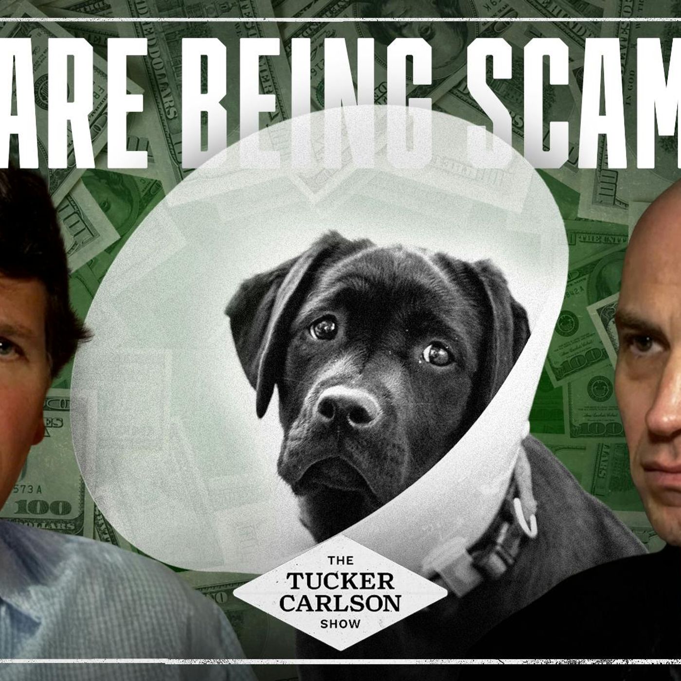 The Tucker Carlsoon Show