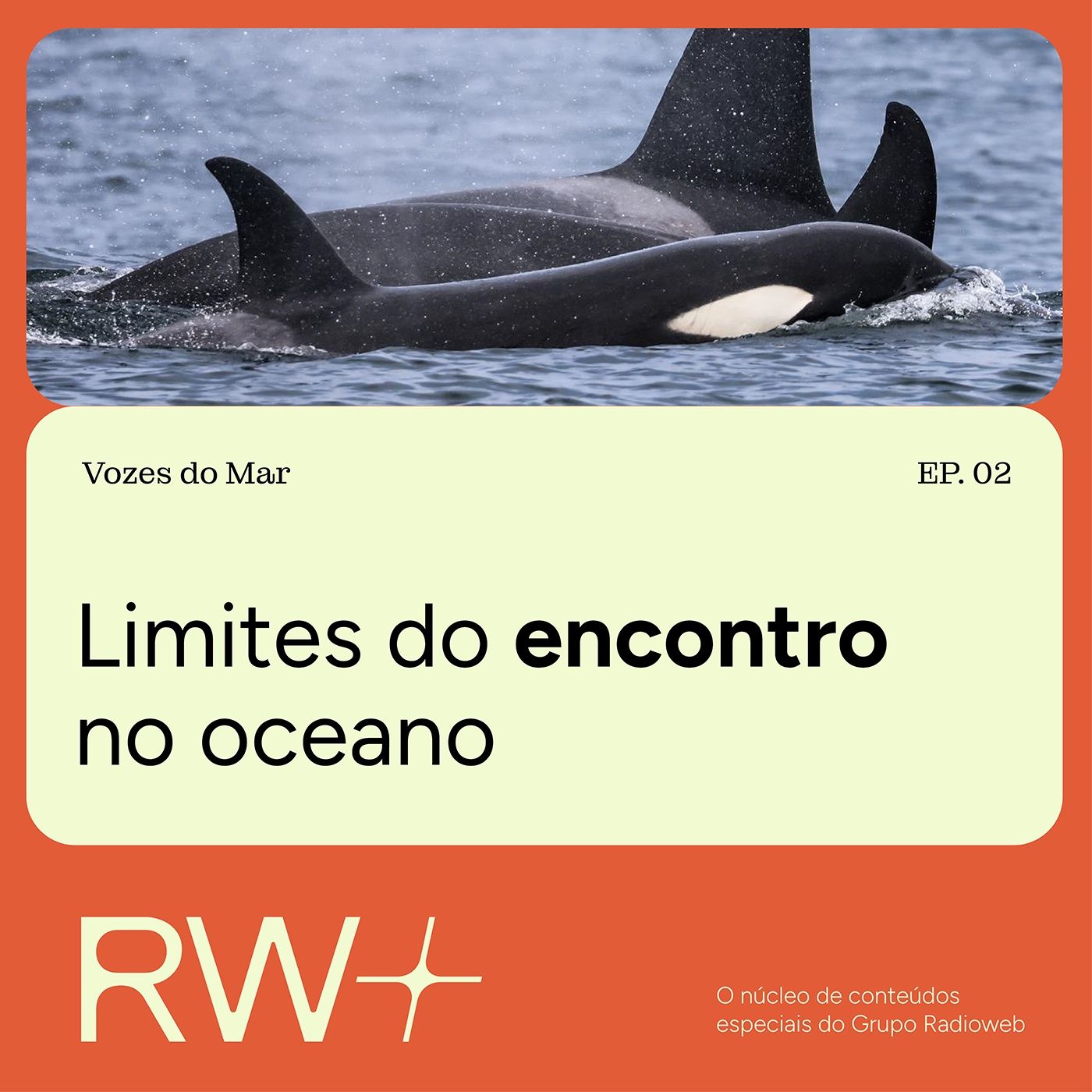 Vozes do Mar: baleias jubarte mudam rotina do litoral de SP episode artwork