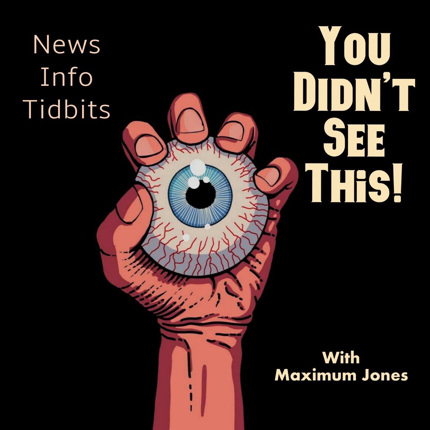 You Didn’t See This! podcast artwork
