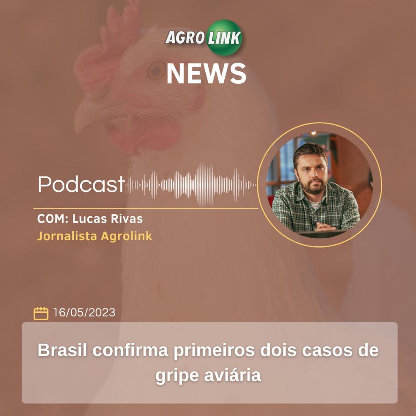 MT é responsável por quase 1/3 da produção nacional de grãos episode artwork