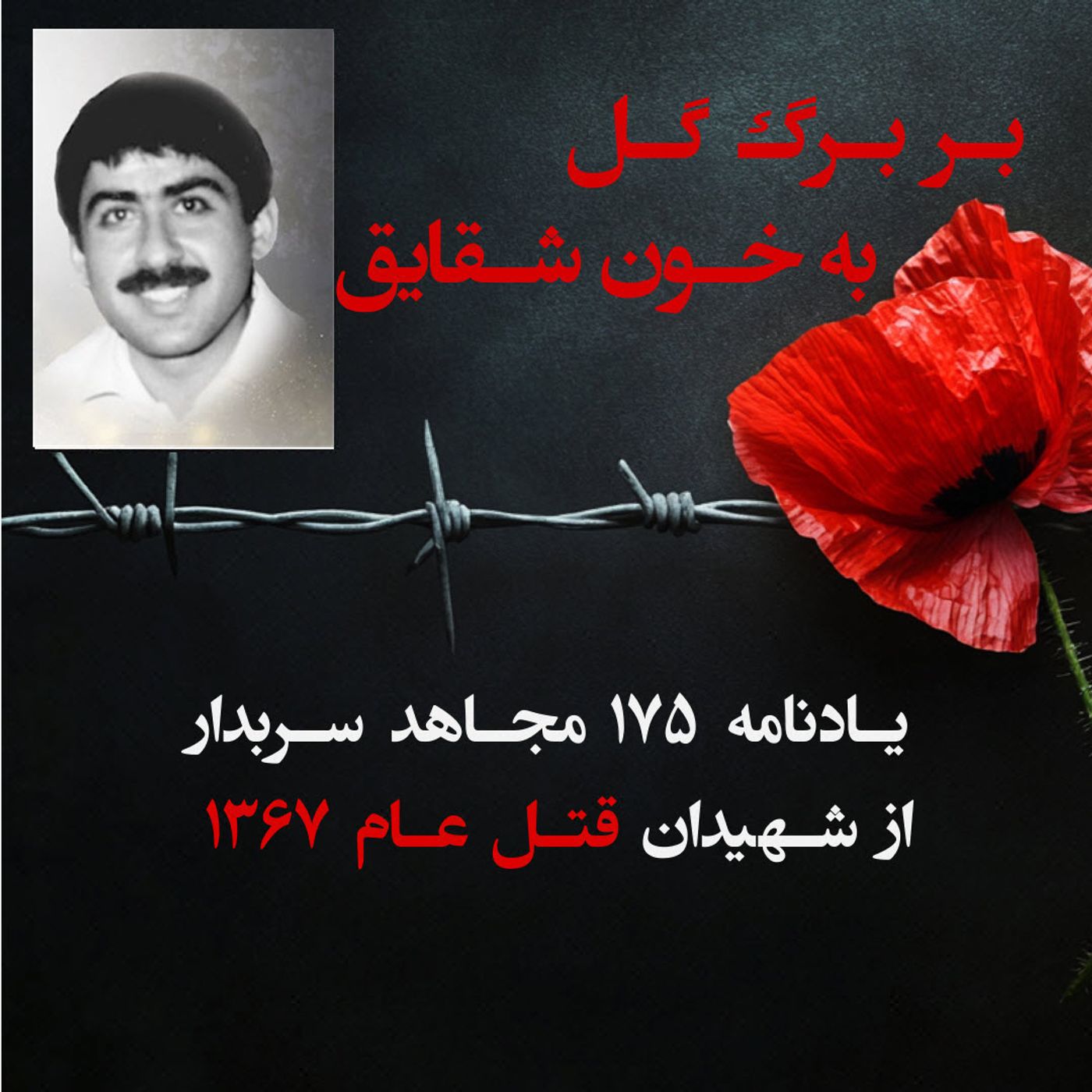 بربرگ گل به خون شقایق- محمد ذاکری episode artwork