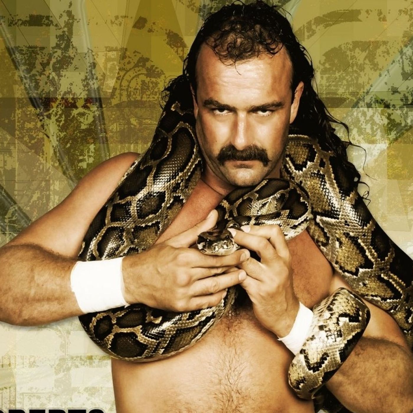 "Unfiltered Venom Shoot: Jake 'The Snake' Roberts Speaks Out"