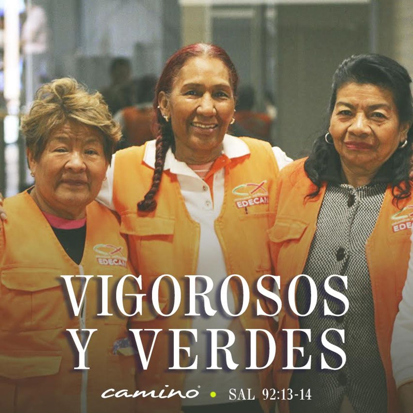 Oración 17 de mayo (Vigorosos y Verdes) episode artwork