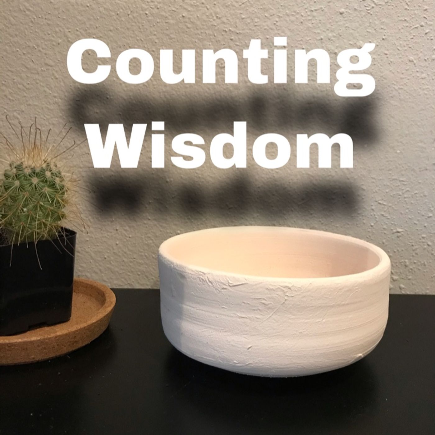 Episode 3 - Counting Wisdom episode artwork