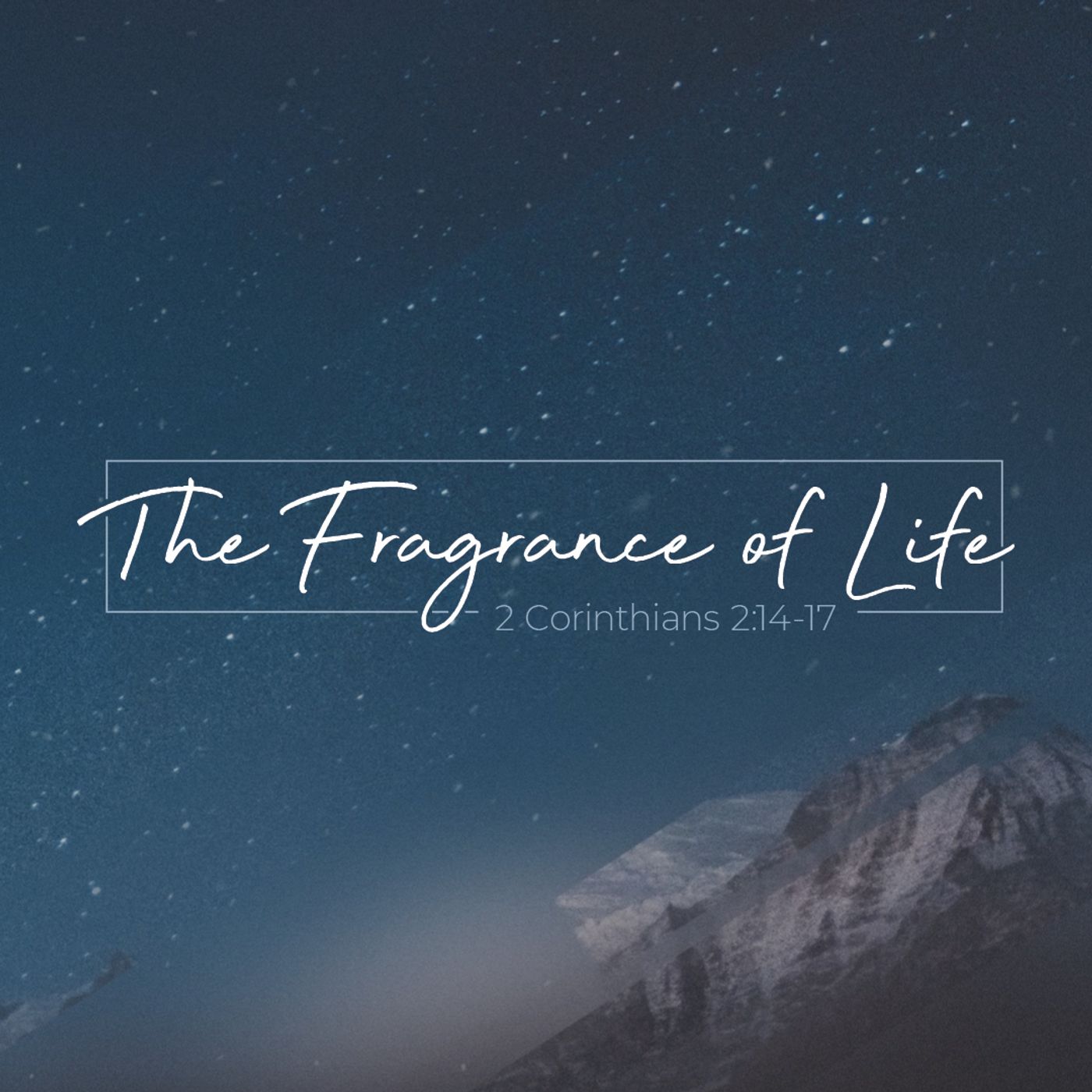 The Fragrance of Life- You Smell Good (feat. Trey Faull) episode artwork