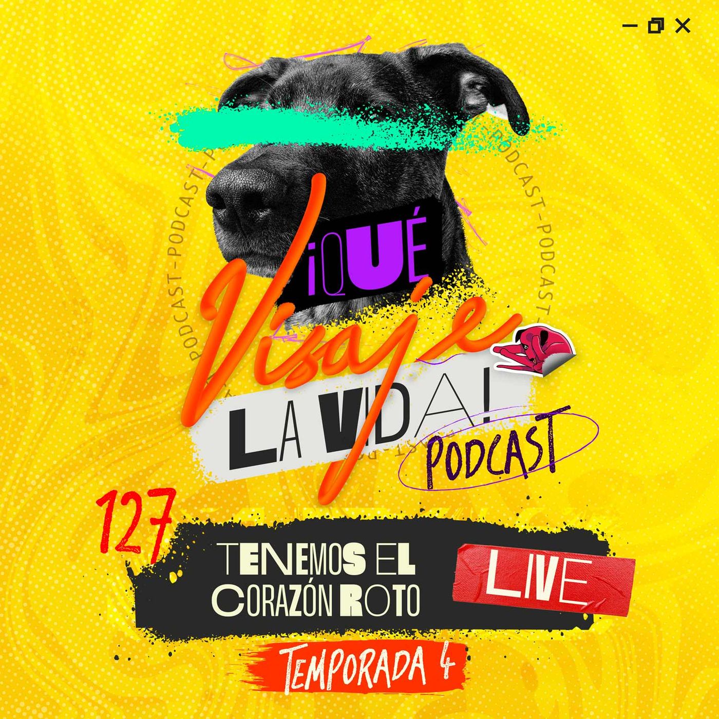 Amores perros el anti San valentin [Capítulo en vivo] 🛑