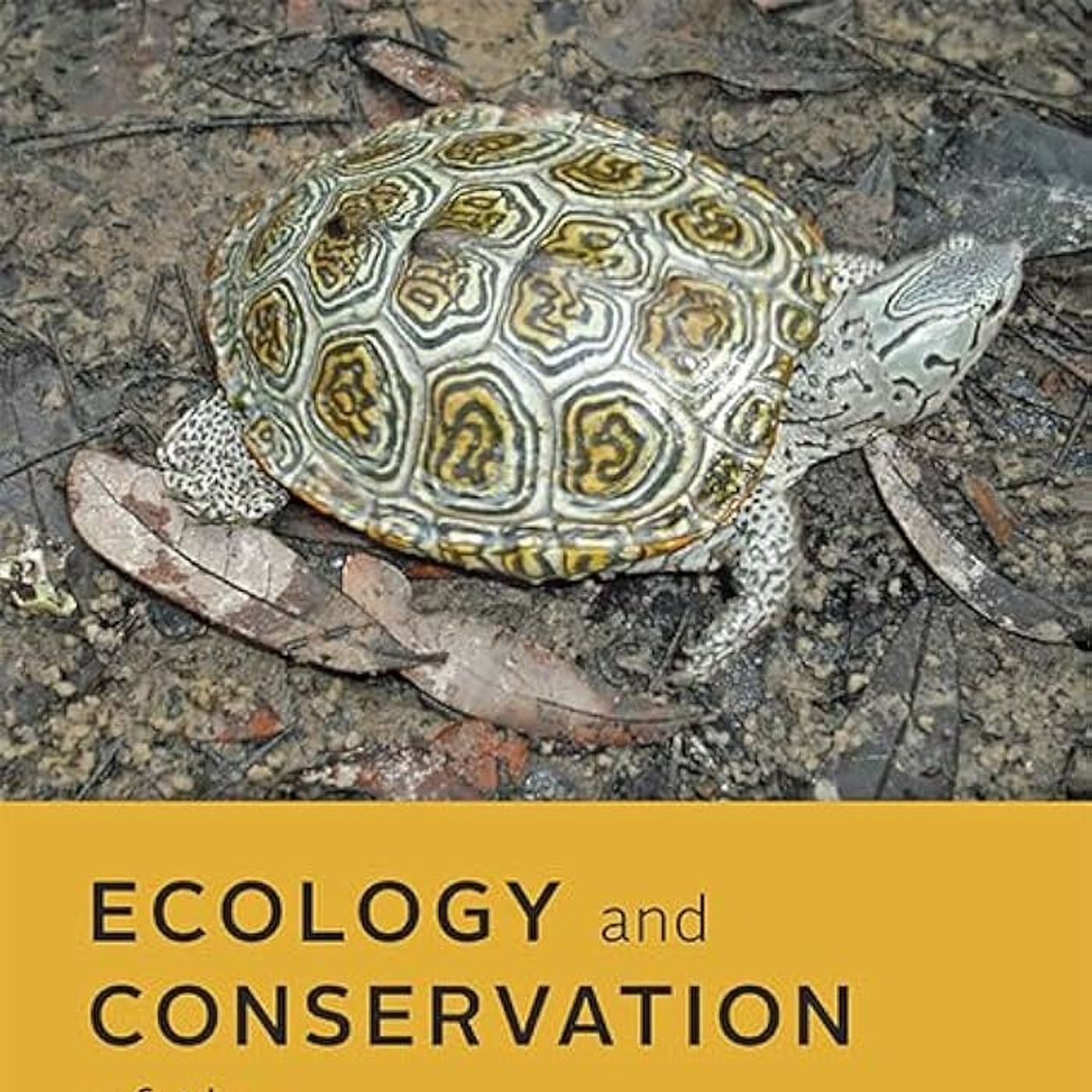 Ecology and Conservation of the Diamond-backed Terrapin