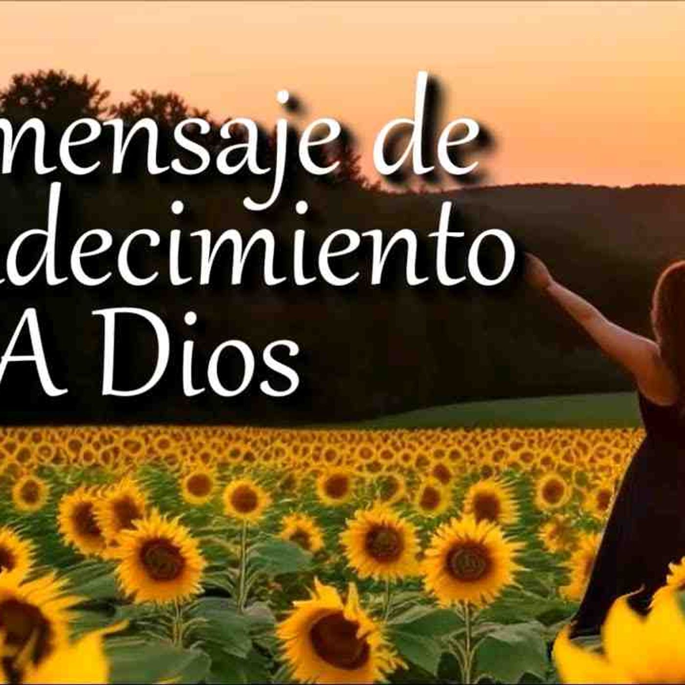 Mensaje de fin de año_ agradecimiento a Dios y un nuevo año bendecido _ Motivación cristiana(MP3_160K)_1 episode artwork