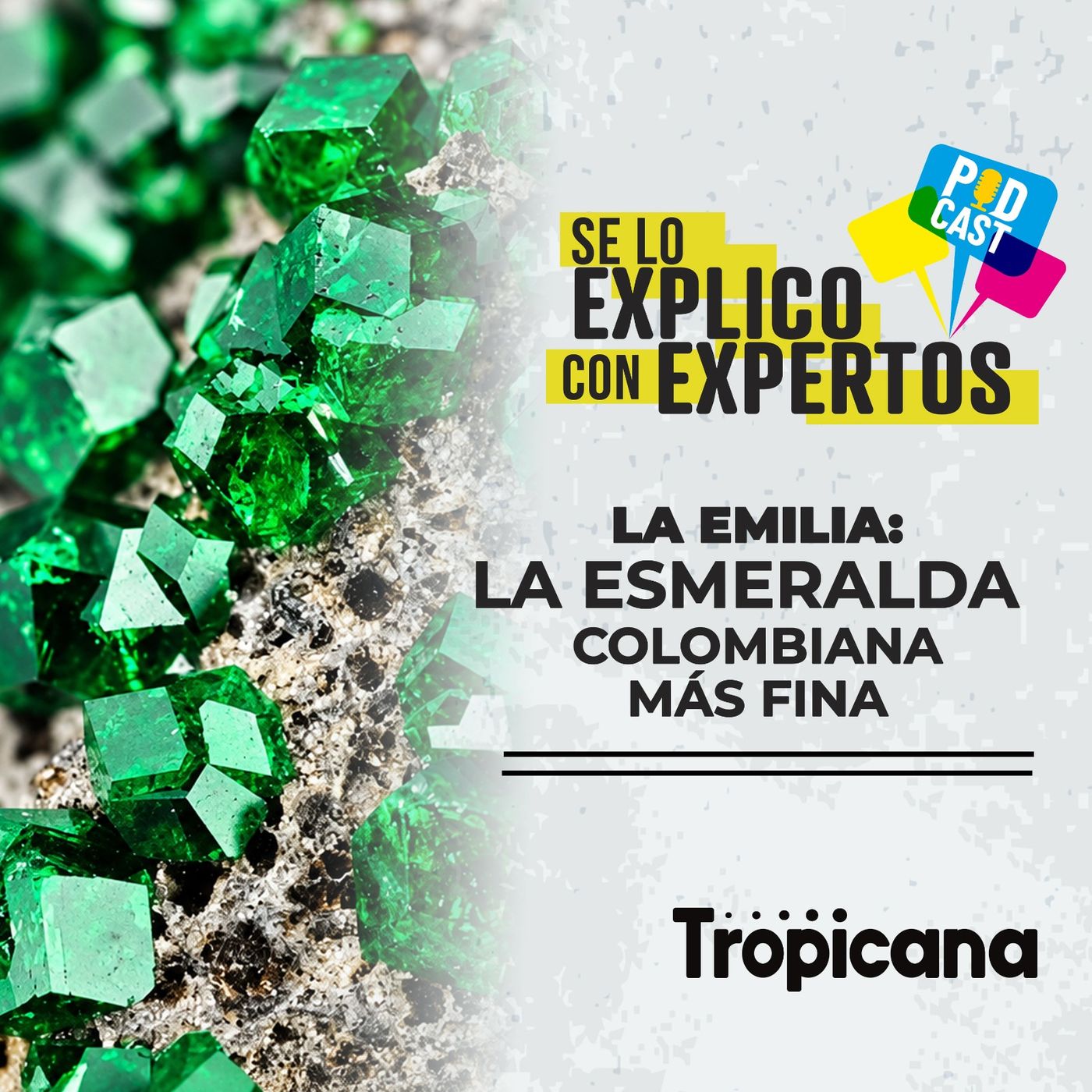 Portada de Se lo explico con expertos