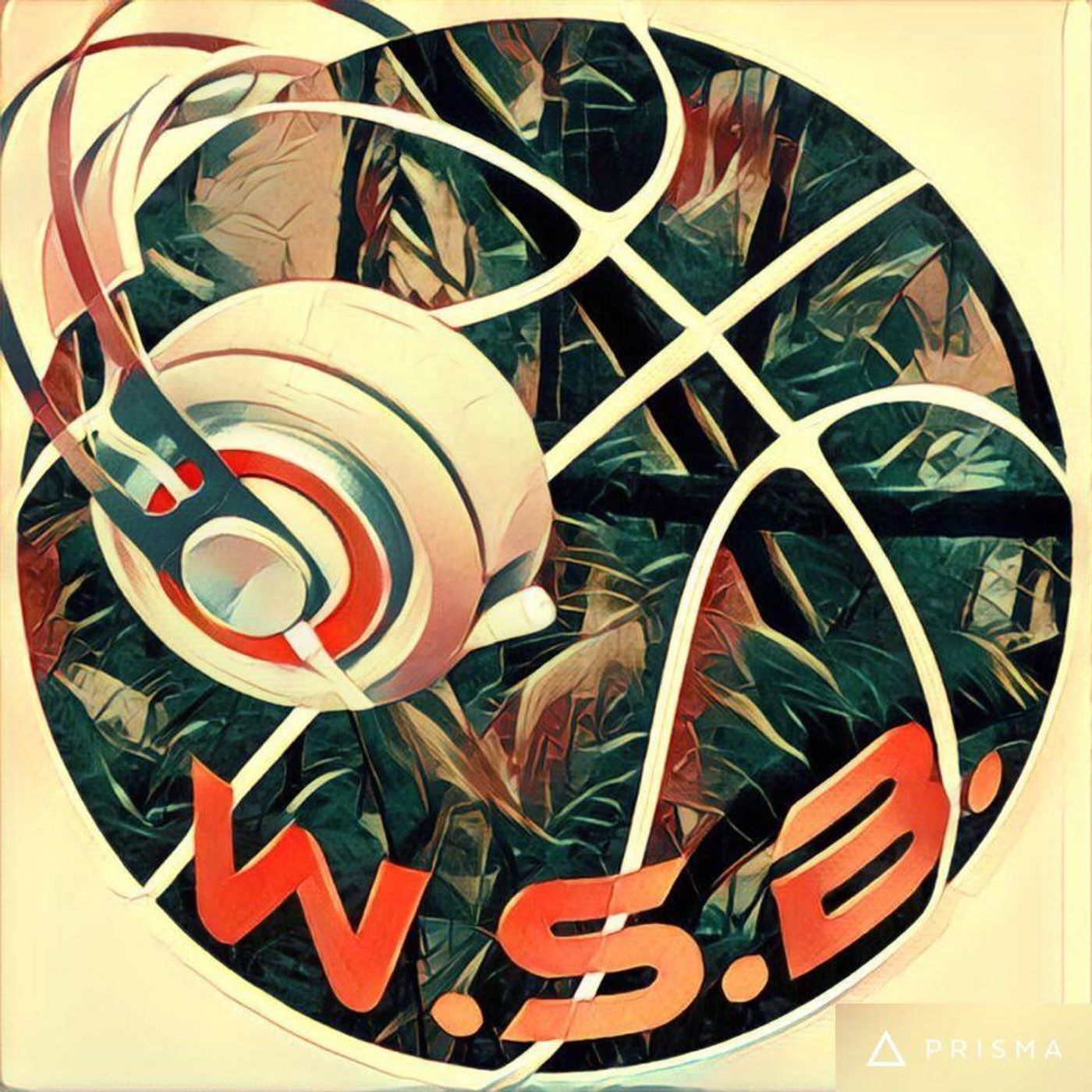 Wild Side Basketball's show