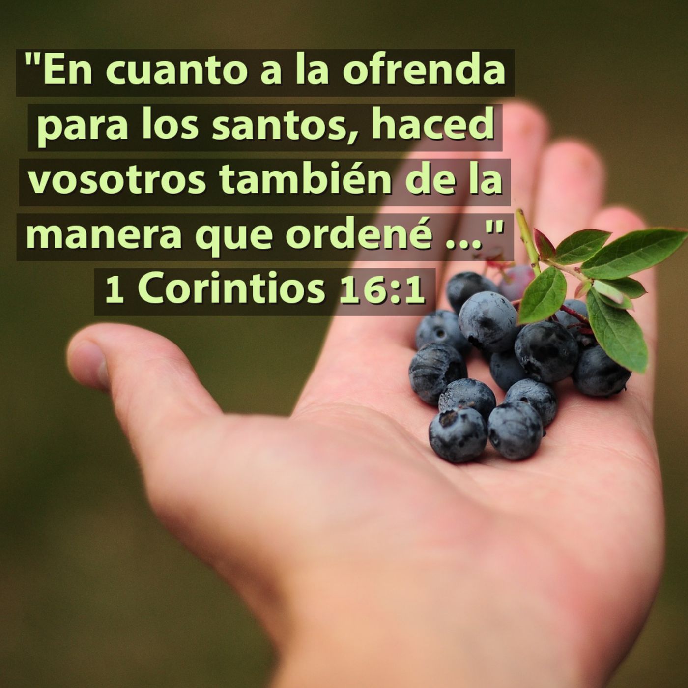 Ministerio UMCD - Un Momento Con Dios | Reflexiones Cristianas