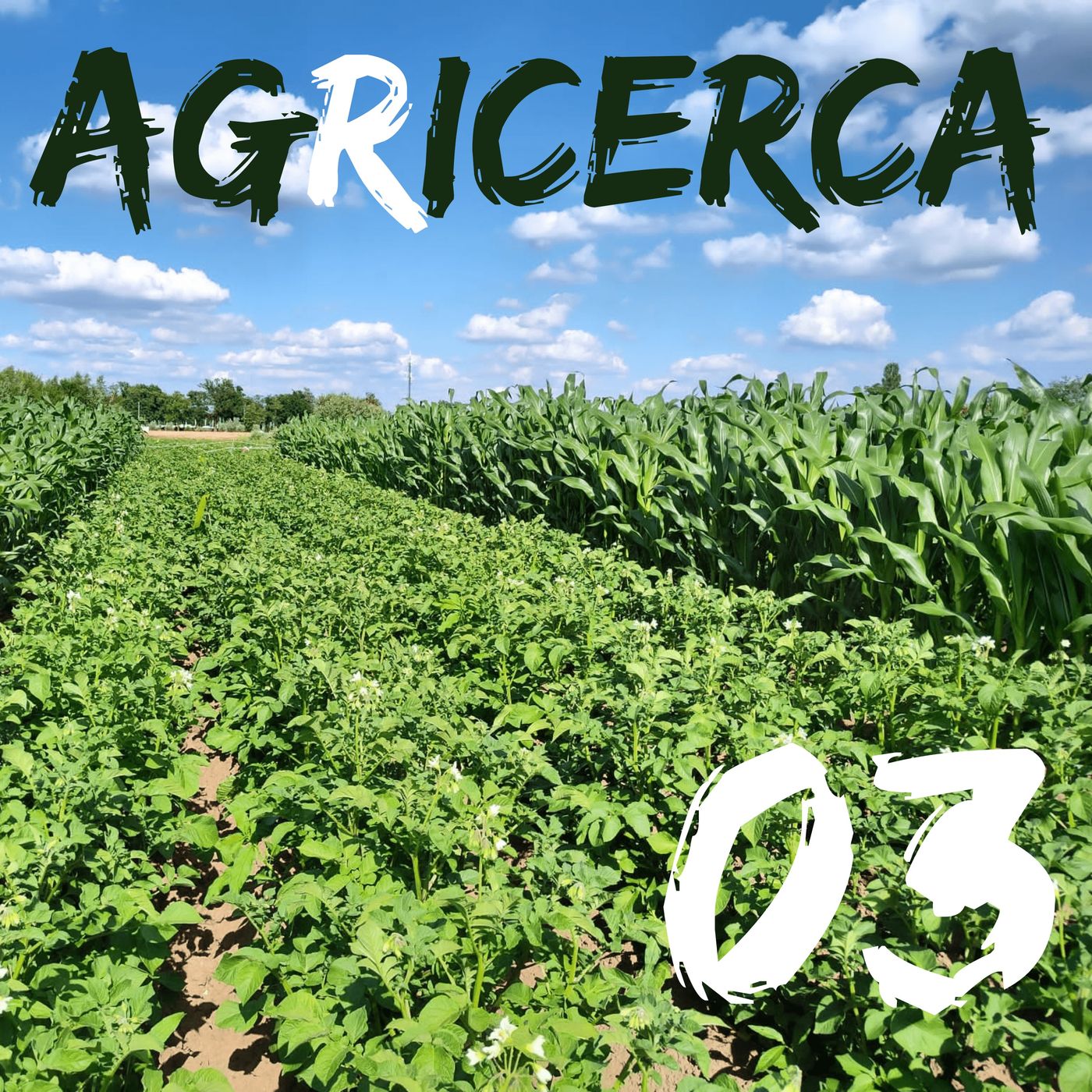 agRicerca