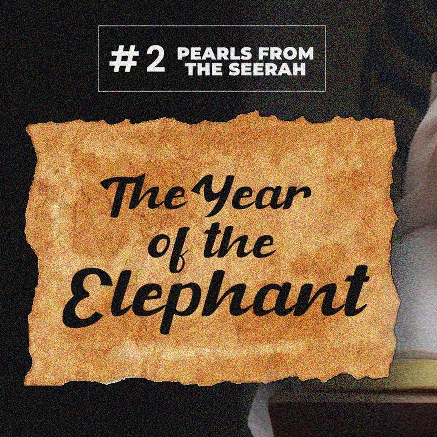 02 - The Year of the Elephant