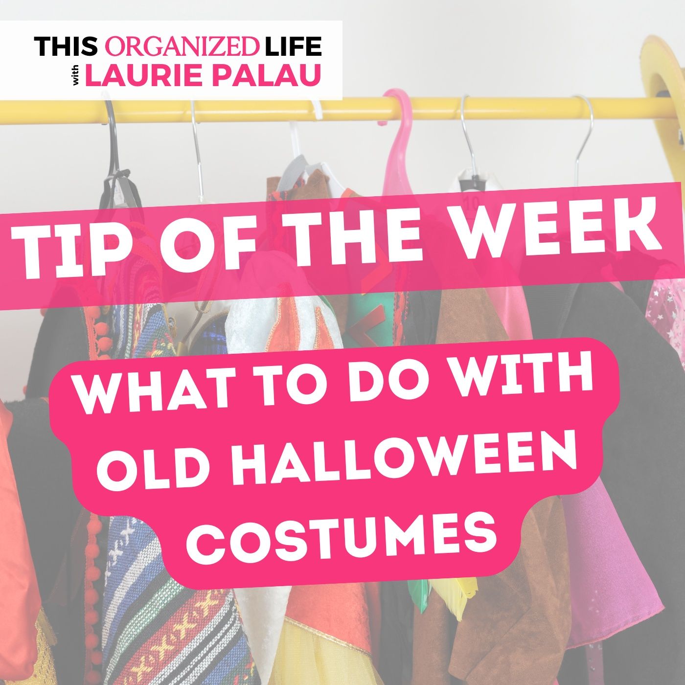 Tip of the Week-What to Do with Old Halloween Costumes