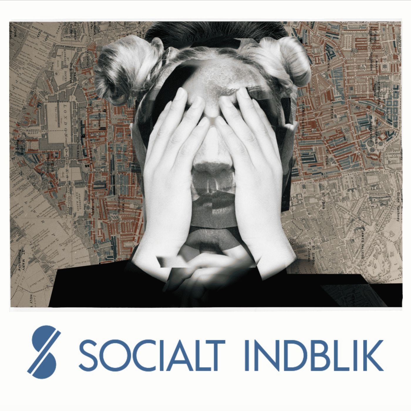 Socialt Indblik
