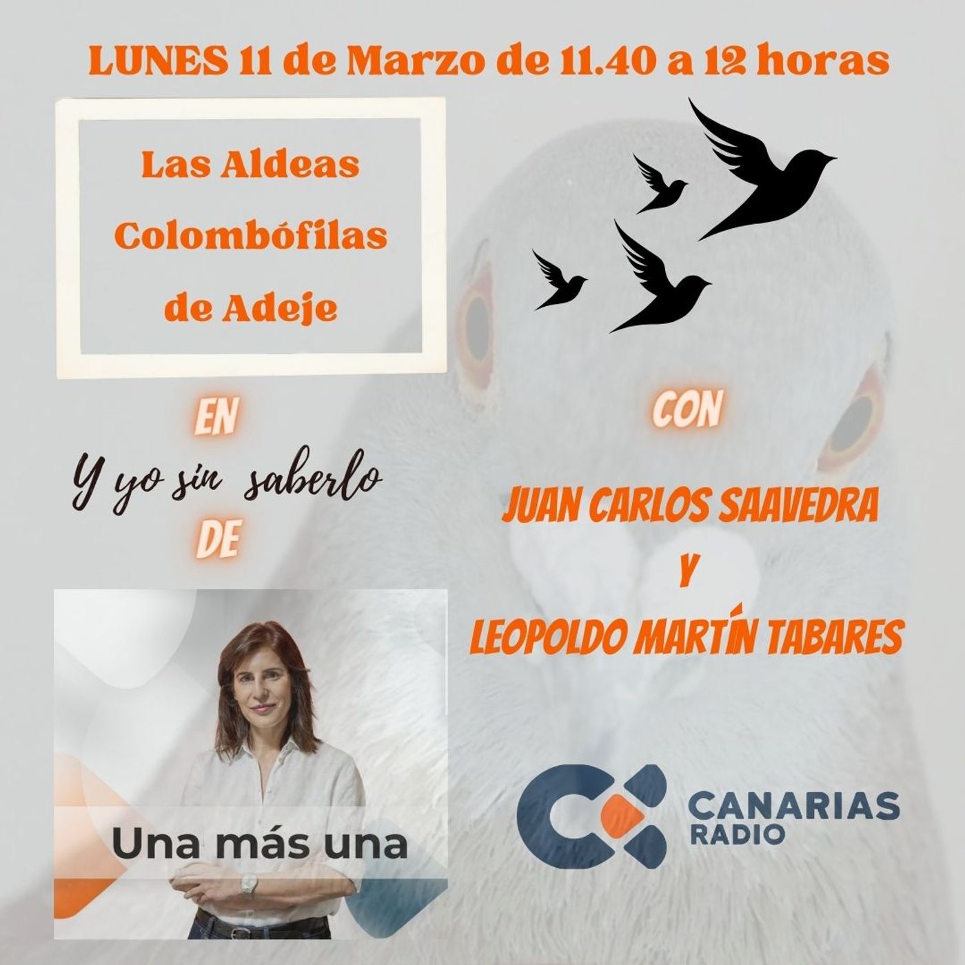 Milenarios, por Juan Carlos Saavedra