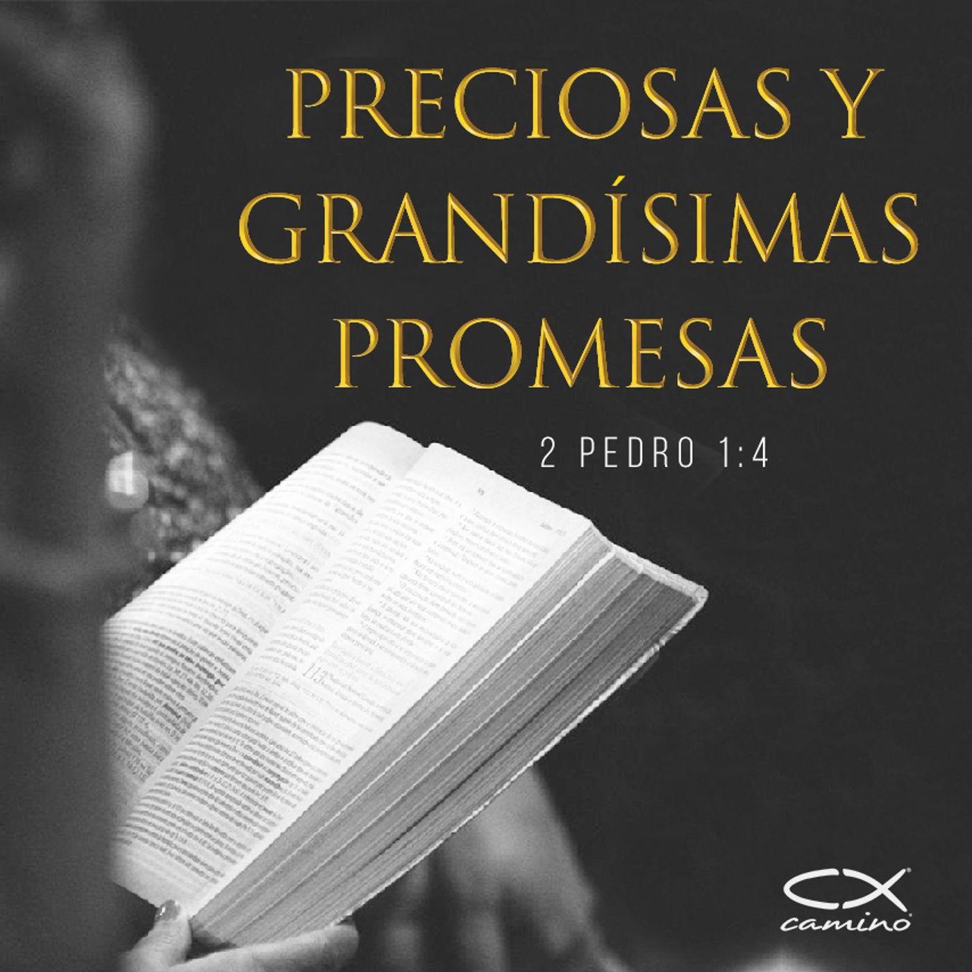 Oración 4 de diciembre (Preciosas y grandísimas promesas) episode artwork