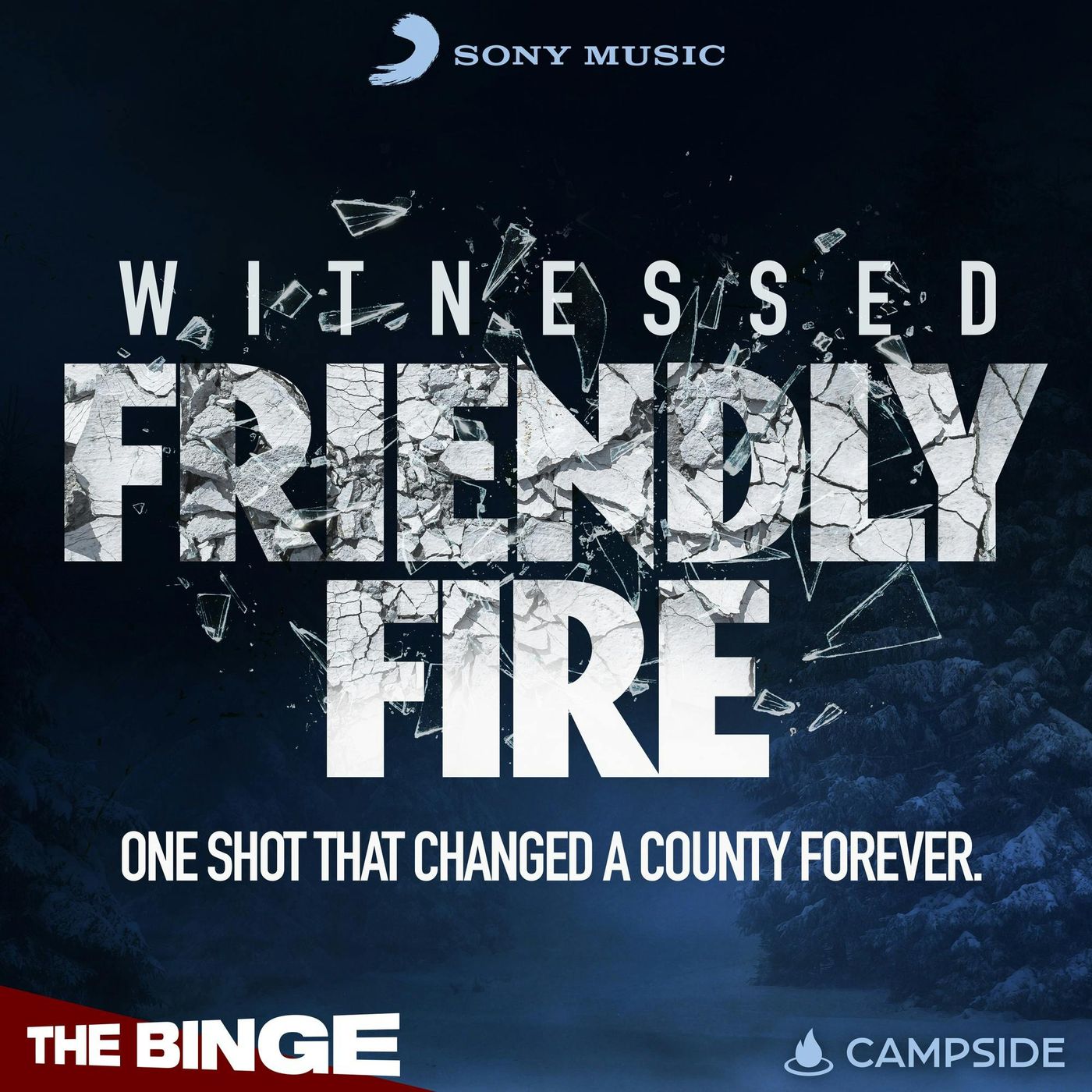 Friendly Fire | 8. The Verdict episode artwork