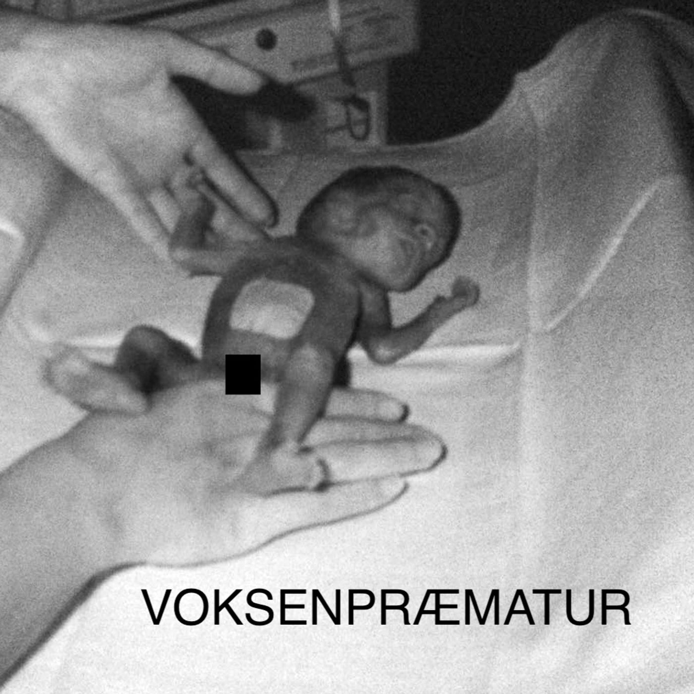 Voksenpræmatur af Camilla H