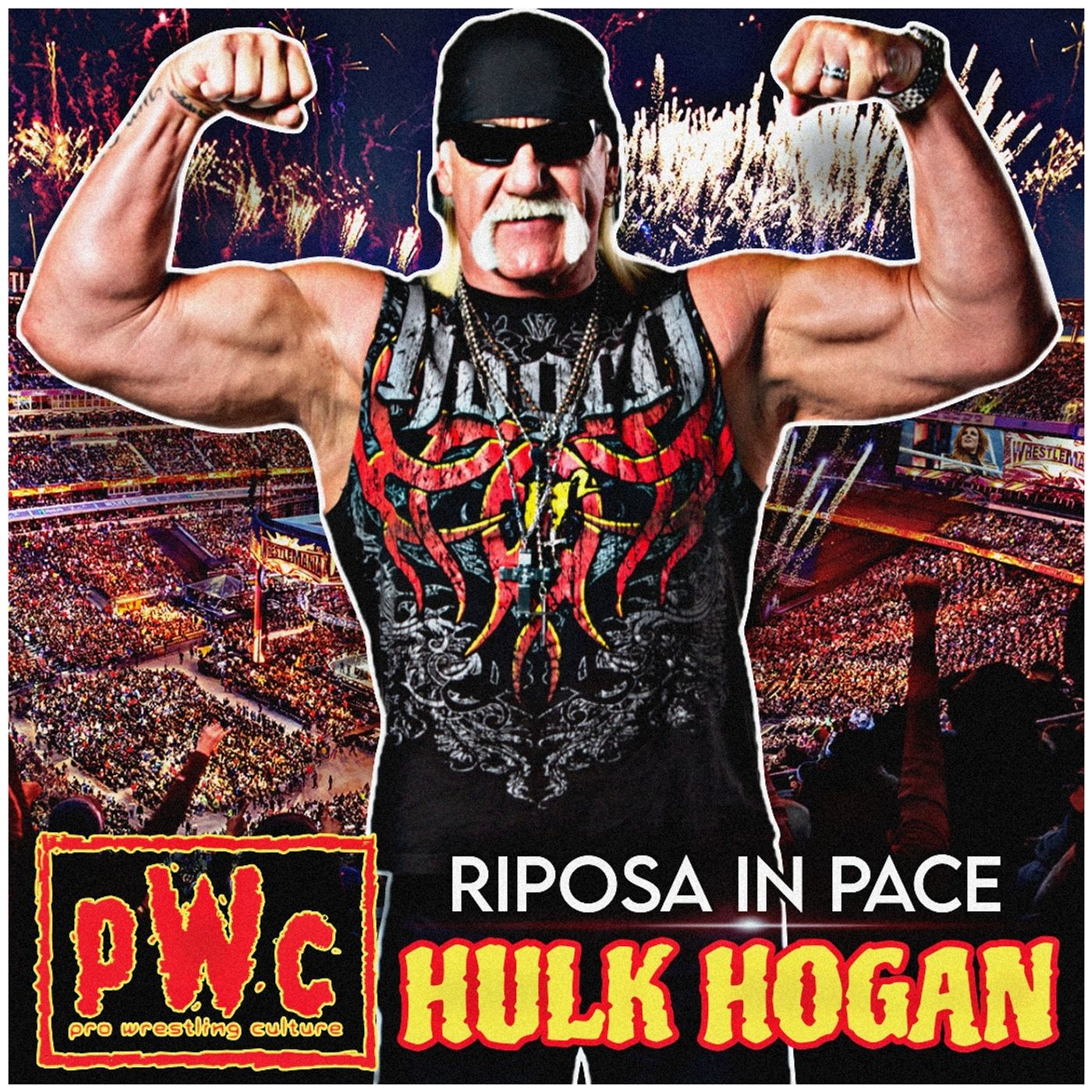 Pro Wrestling Culture