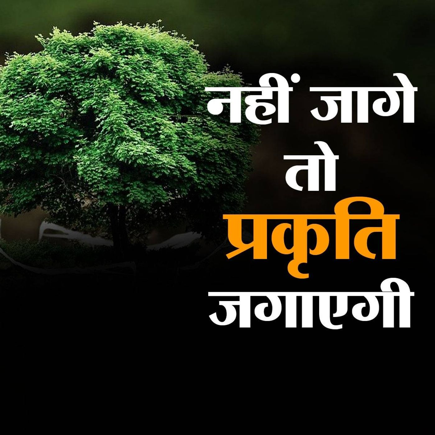 केवल क़ानून नहीं, भागीदारी से बचेगा पर्यावरण episode artwork
