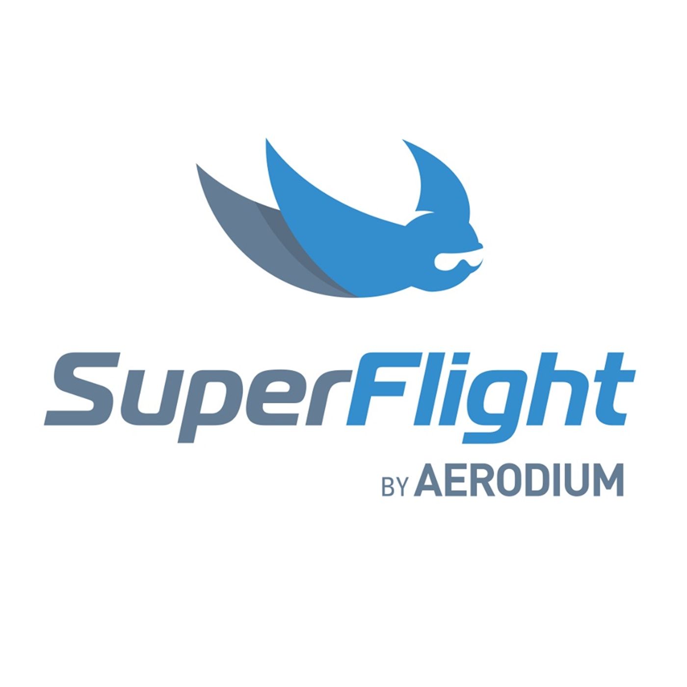 Earn Your Wings With Superflight