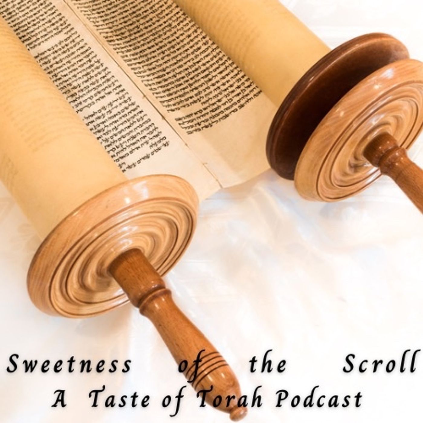 A Taste of Torah