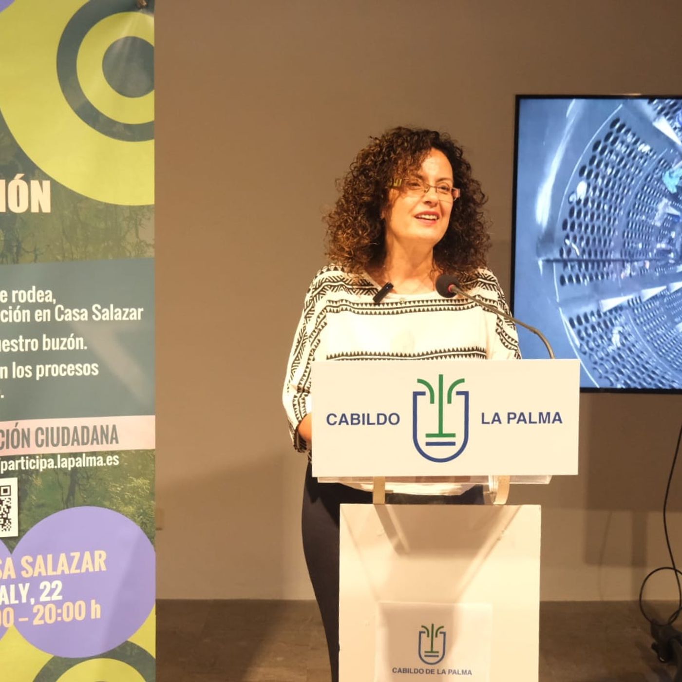 Declaraciones Cabildo de La Palma