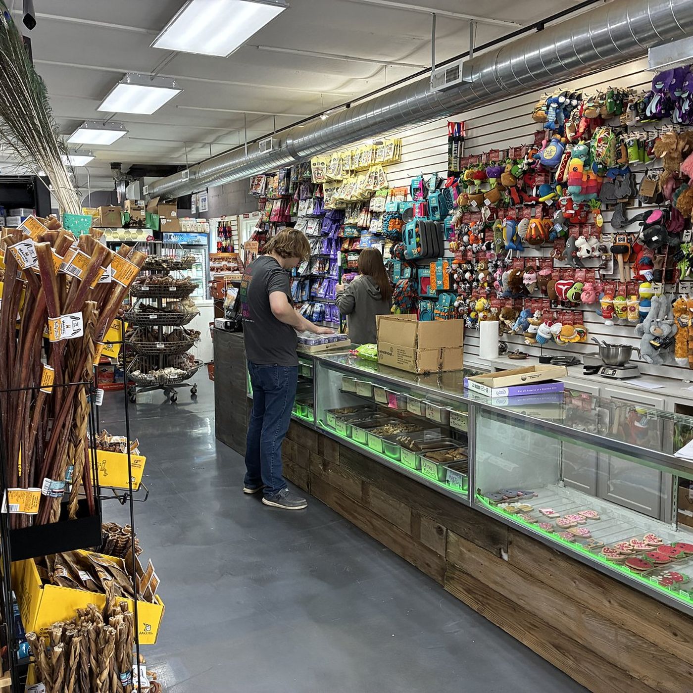 Reeses Barkery has new leash on life in McHenry weeks after devastating fire episode artwork