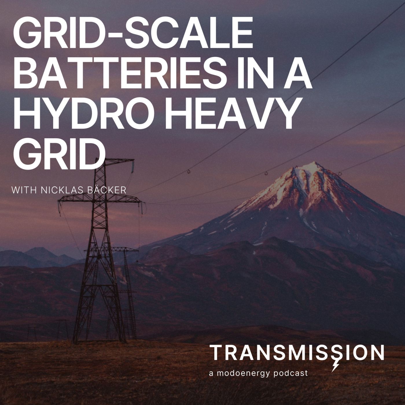 Grid-Scale Batteries in a Hydro Heavy Grid with Nicklas Bäcker (CSO @ Ingrid Capacity)