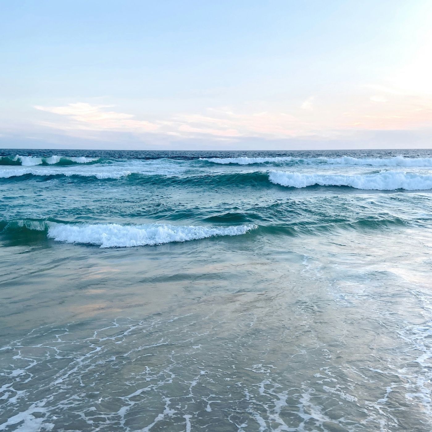 Análisis de la actividad Océanos vivos.