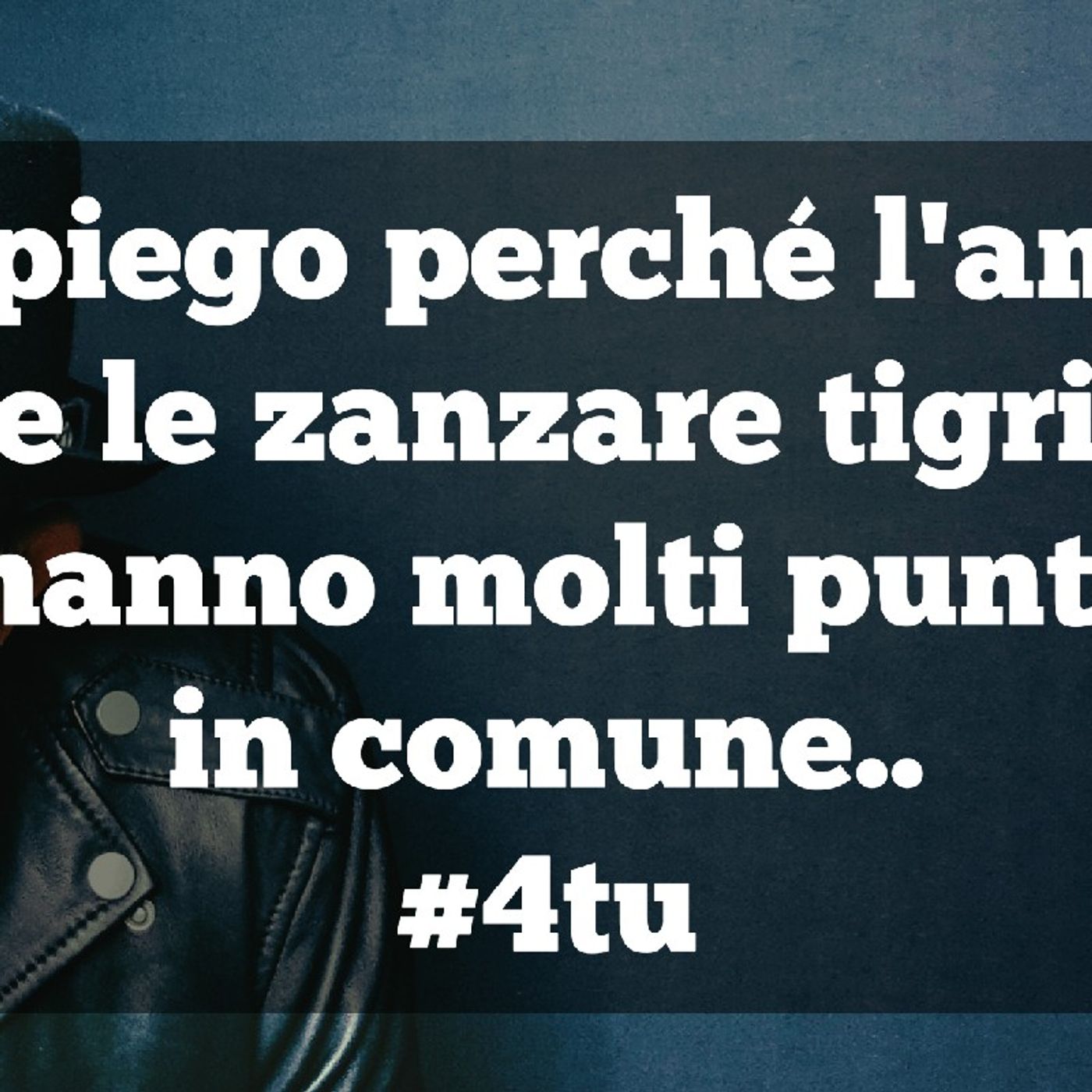 Le parole che non hai mai letto