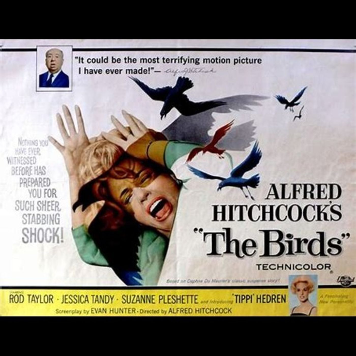 S3 Ep176: The Birds (1963) episode artwork