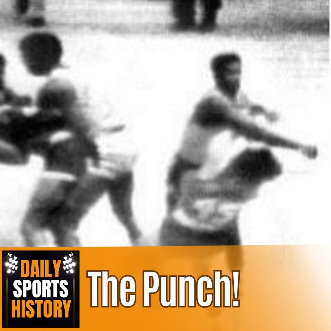 The Punch That Changed the NBA