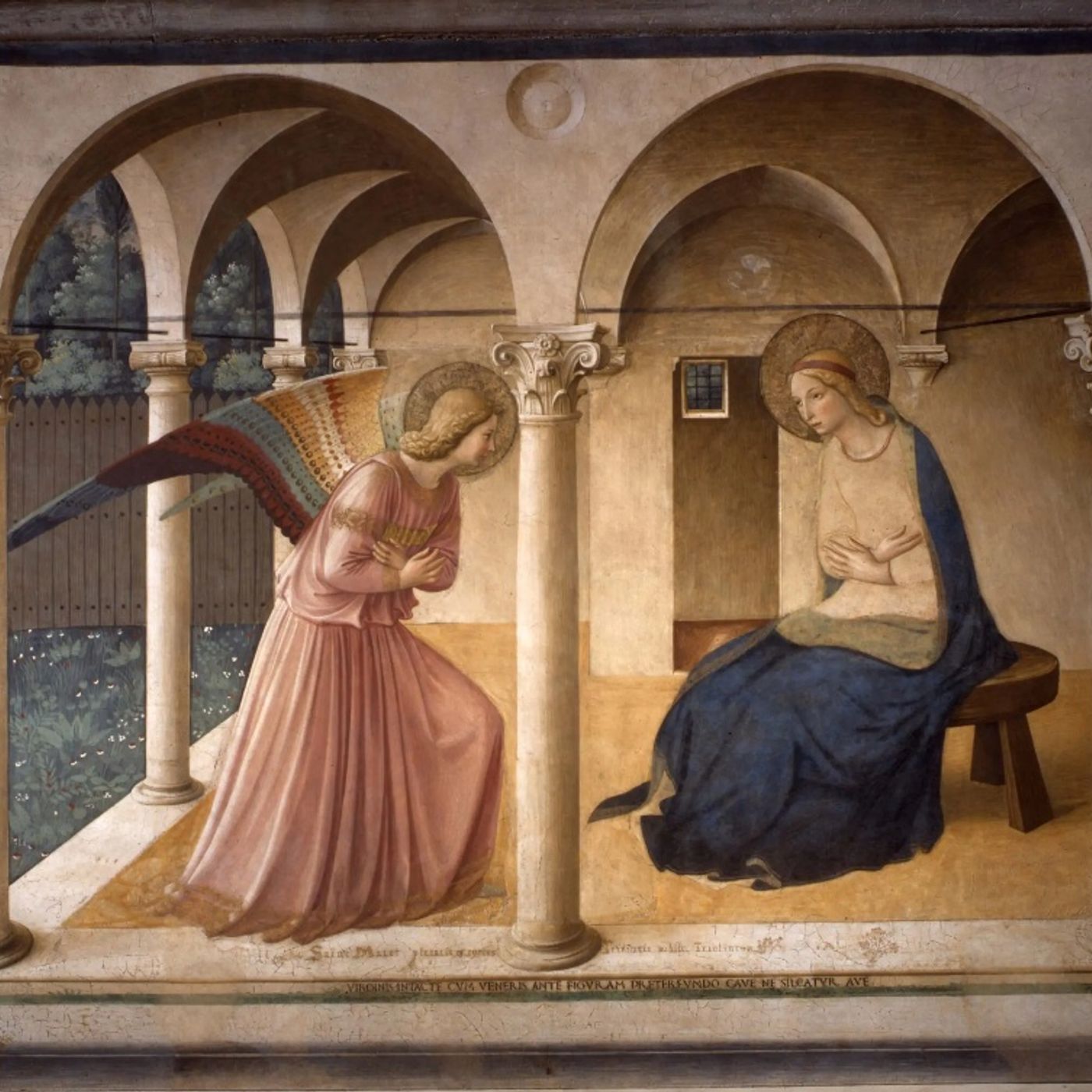 Dal Vangelo di oggi